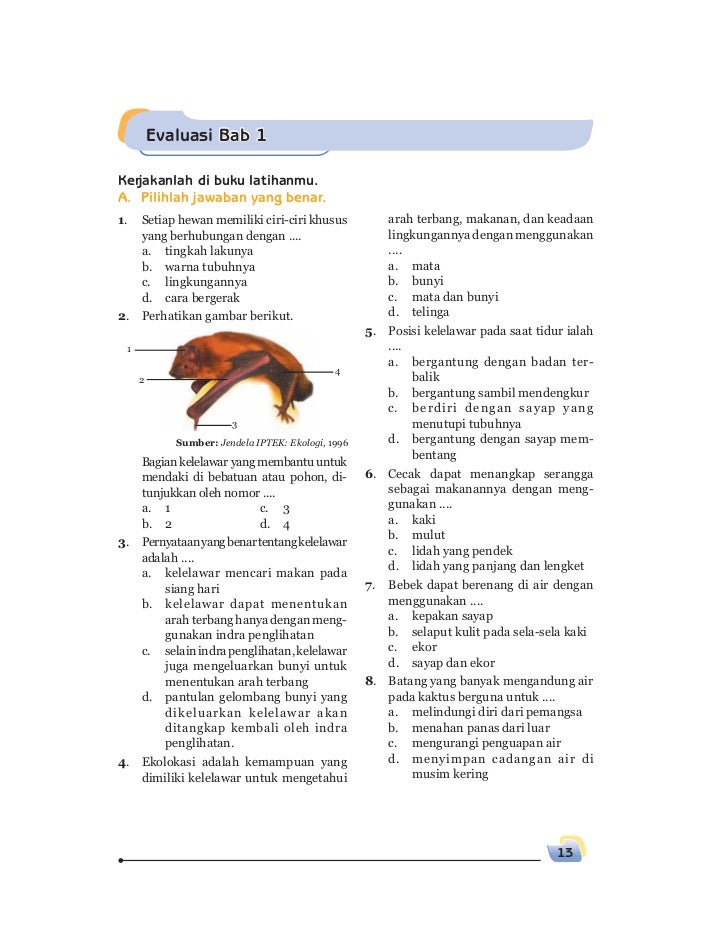Ipa Kelas 5 Sd Dalchaebi Ipa Kelas 5 Sd Dalchaebi