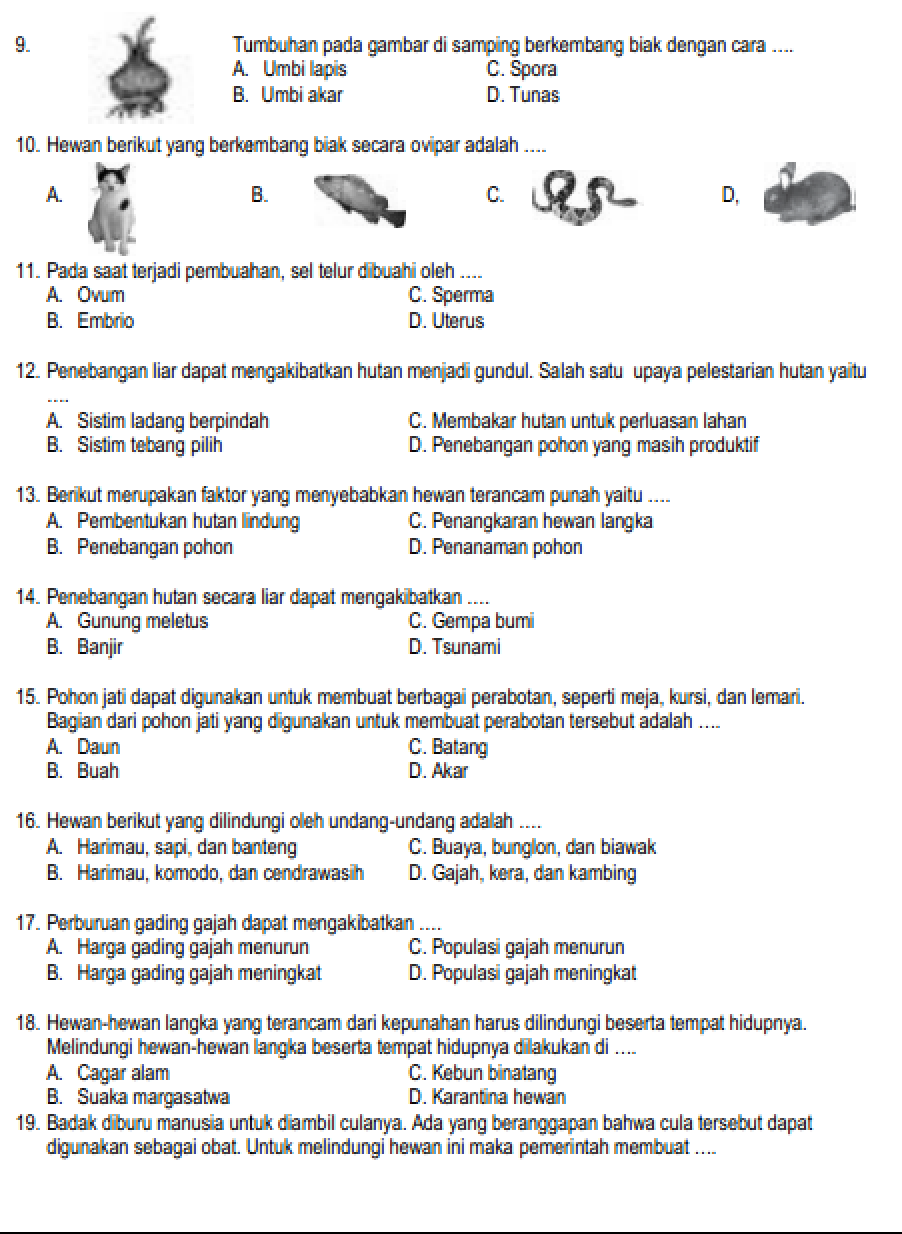 Akhirnya Terkuak 7 Soal Tersulit dari Bank Soal IPA Kelas 6 Semester 2 yang Wajib Dikuasai Akhirnya Terkuak 7 Soal Tersulit dari Bank Soal IPA Kelas 6 Semester 2 yang Wajib Dikuasai