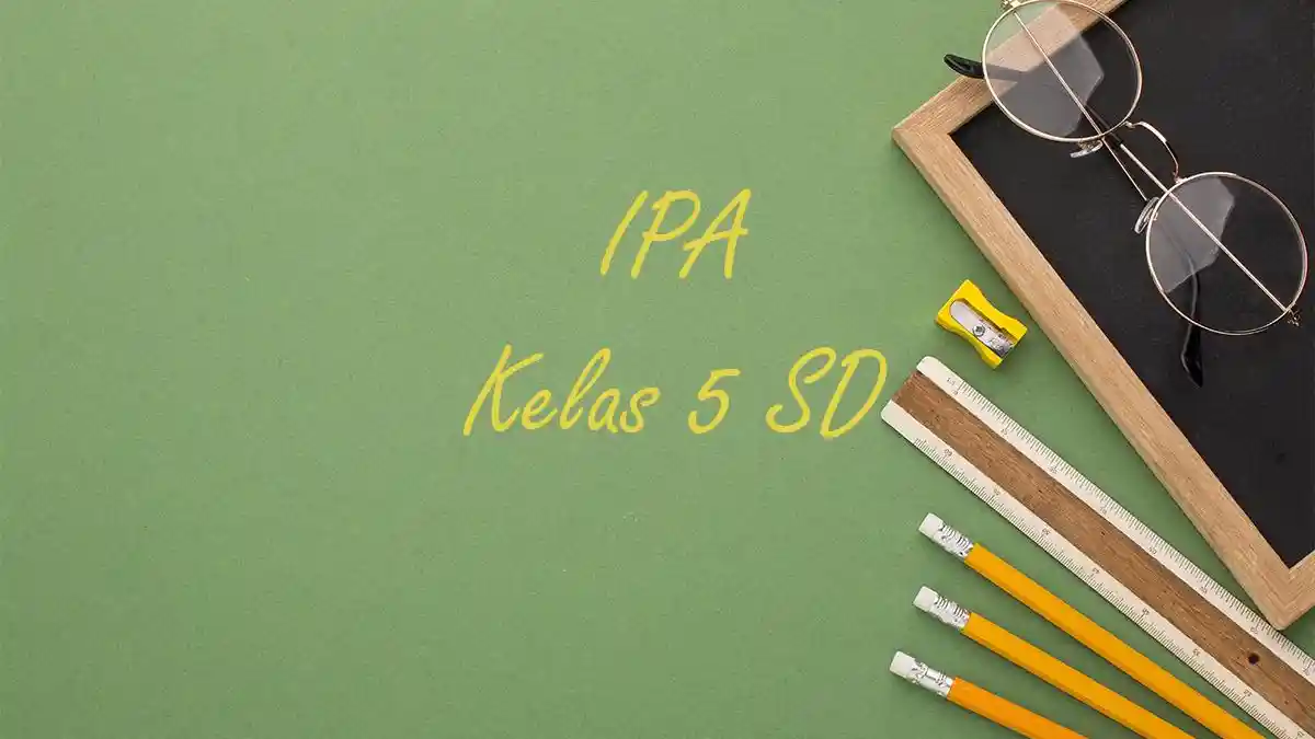 50 Contoh Soal PAT IPA Kelas 5 SD Semester 2 Lengkap Kunci Jawaban 50 Contoh Soal PAT IPA Kelas 5 SD Semester 2 Lengkap Kunci Jawaban