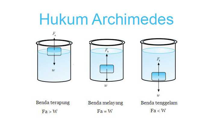 7 Rahasia Contoh Soal Hukum Archimedes Kelas 1 yang Bikin Siswa SD Ujian OMI IPAS 2026 7 Rahasia Contoh Soal Hukum Archimedes Kelas 1 yang Bikin Siswa SD Ujian OMI IPAS 2026